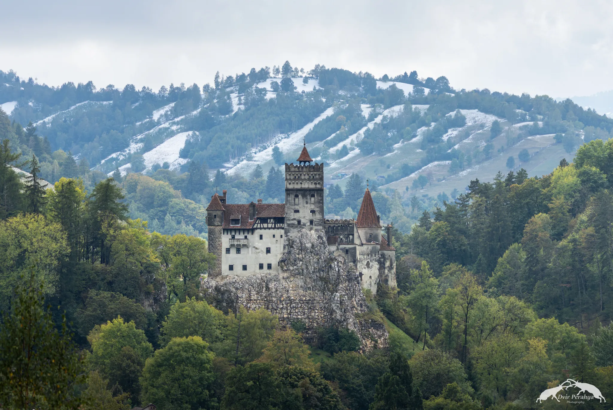 A Nubian Ibex standing on a cliff